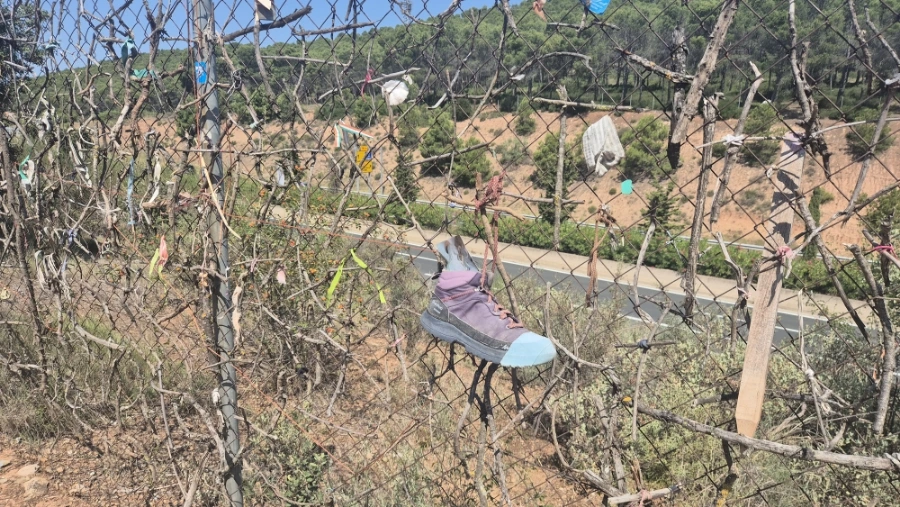 900%EF%BC%BF20240805%EF%BC%BF123401.jpg?type=w3840