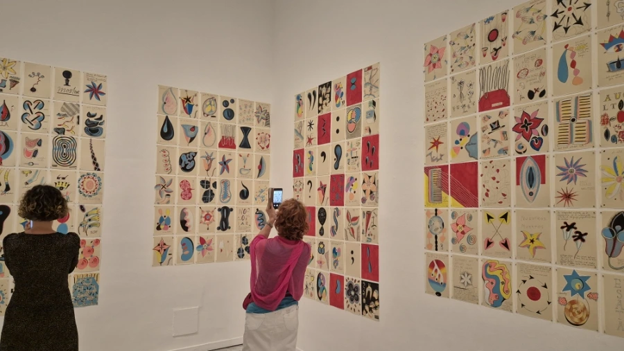 900%EF%BC%BF20240815%EF%BC%BF134200.jpg?type=w3840