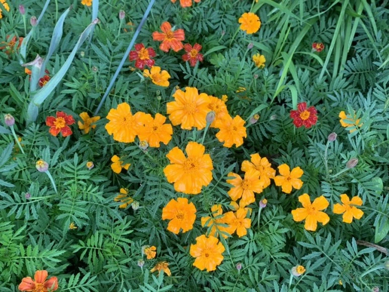 IMG_3187.jpg?type=w773