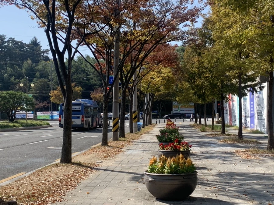 IMG_0802.jpg?type=w1