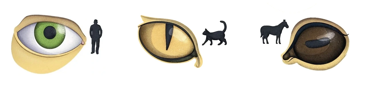 Screenshot 2025-02-12 at 9.30.42 AM.JPG