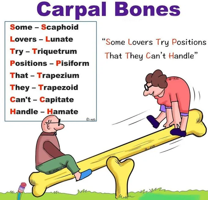 9bbbfcc3-69a5-4e0f-bbfc-c369a51e0f17