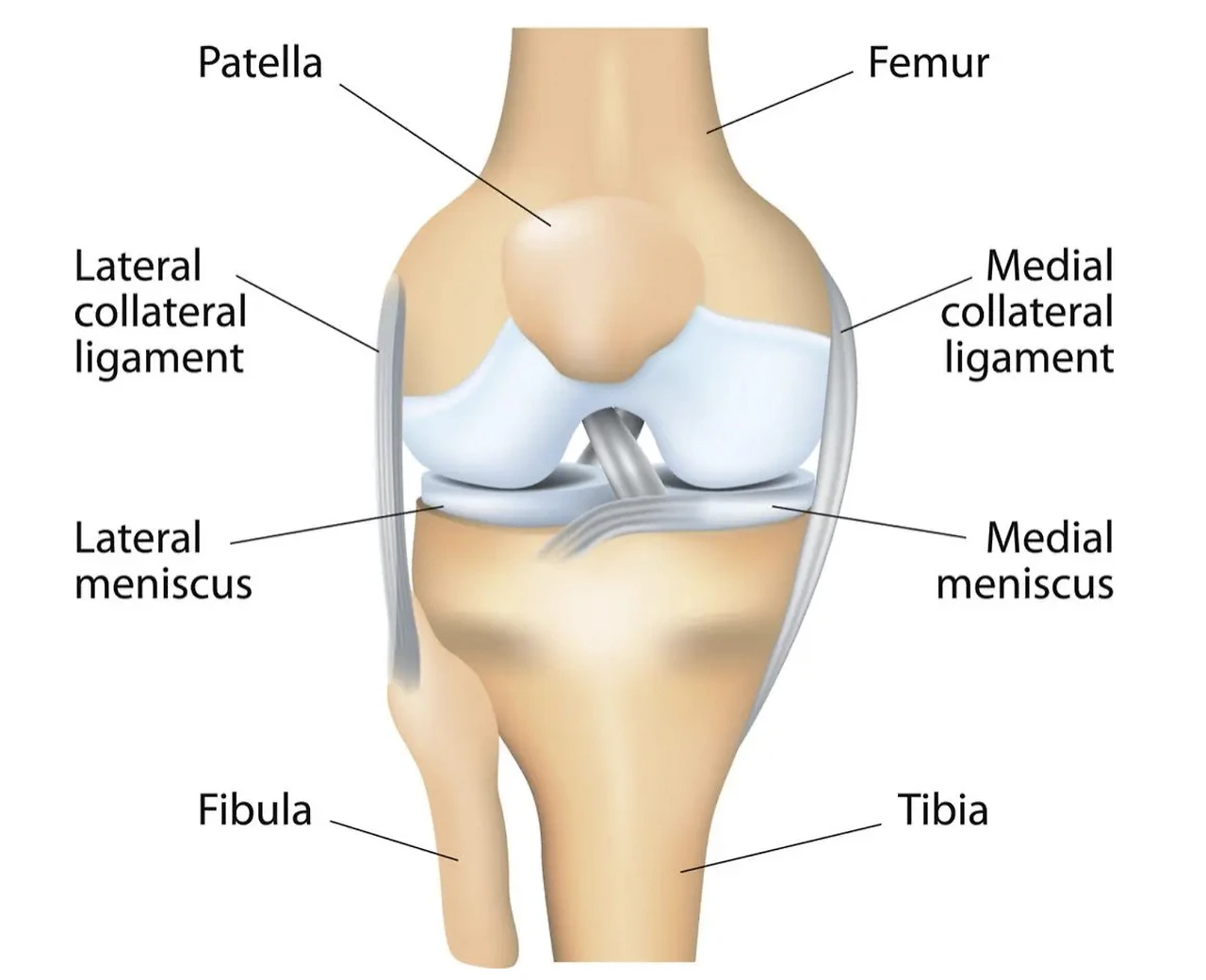 Screenshot 2025-02-24 at 9.55.20 PM.JPG