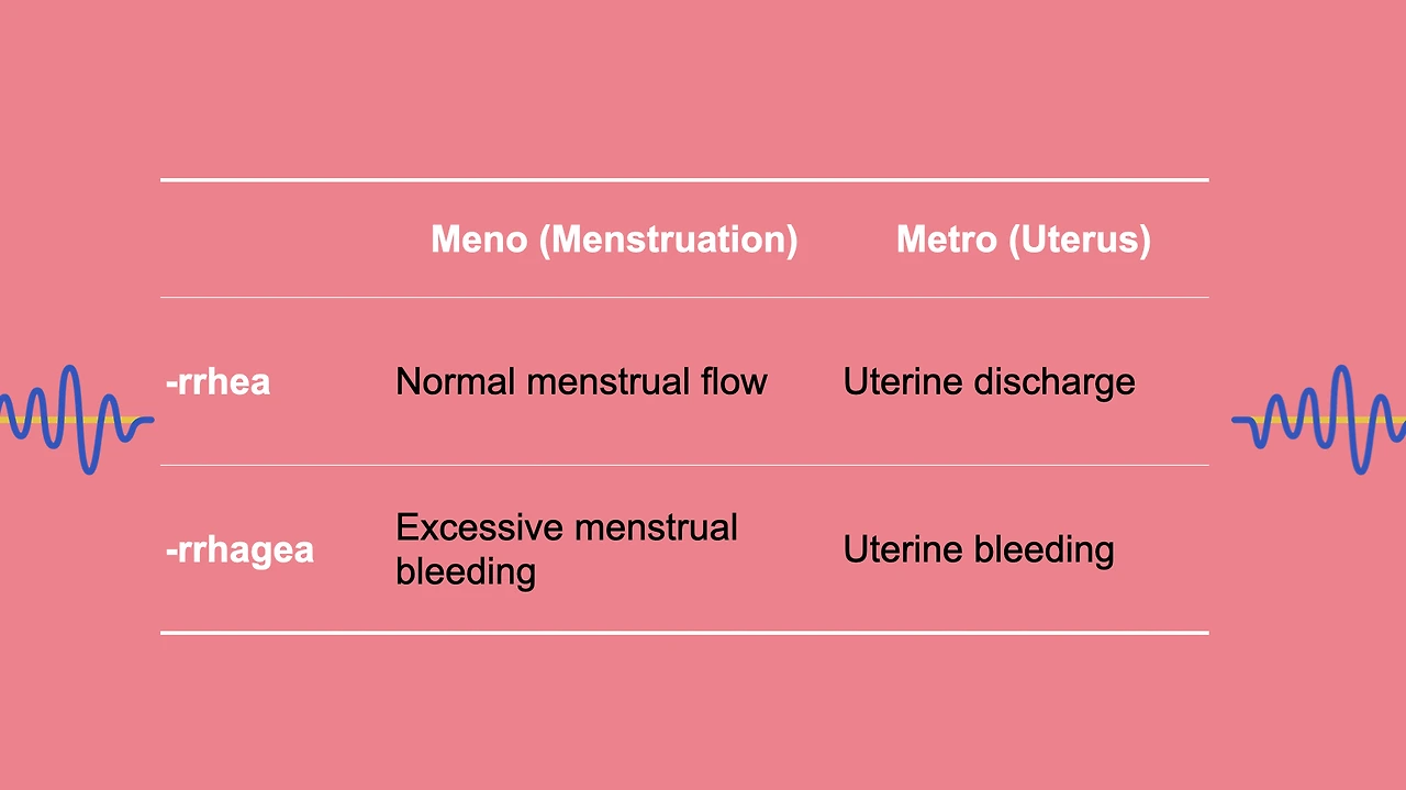 Screenshot 2025-02-09 at 11.13.46 AM.JPG