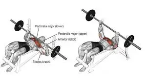 images?q=tbn:ANd9GcTrrm8SgTQclnS1es3p4ZEbiMxkiE6efiAR7g&amp;usqp=CAU