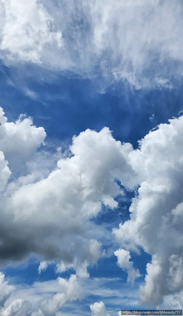 SE-b4728f42-4688-4a48-b074-7357962c1003.jpg?type=w773