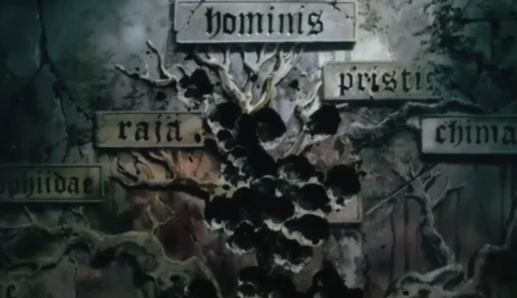 AD_4nXdbH677SucT1bjG32IRM5Ihqtx-BDvFgFlLqjO_NLntHly-anMt1ZBOjRo8hGIwDQSqpzlxkln1rPf0XpMdS7SEB9pjzpLEizWHZZA7TIQ0eWec-Iux8jnubo7Eb9MQPIP5wkIlWsvYcr75K0Kr8o0hkcw?key=Hv9wMZhRCr0O-WyU-GWChg