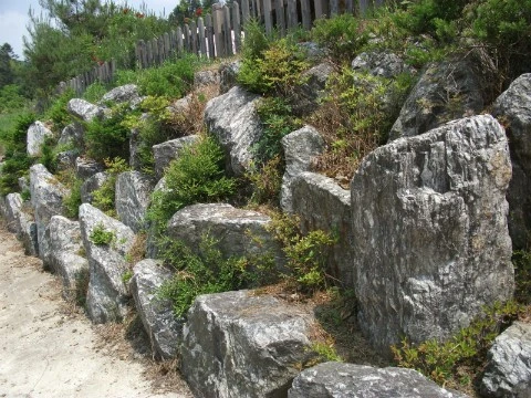 DSCF2571.JPG?type=w1