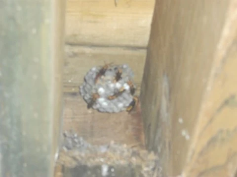 DSCF3106.JPG?type=w1