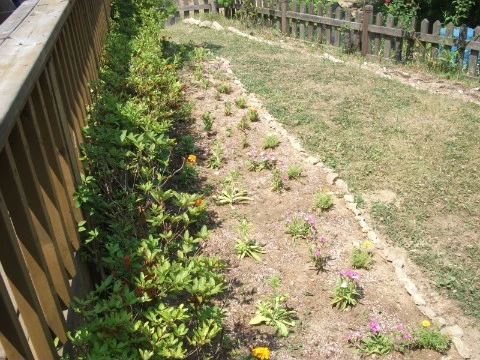 DSCF2933.JPG?type=w1