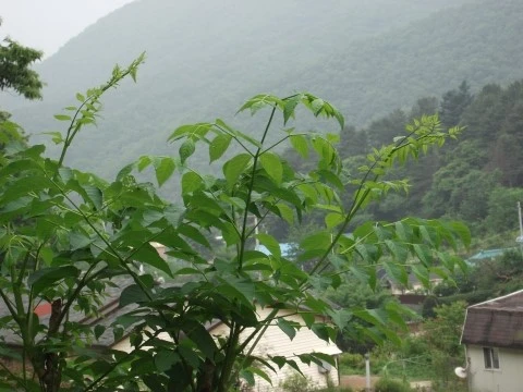 DSCF2669.JPG?type=w1