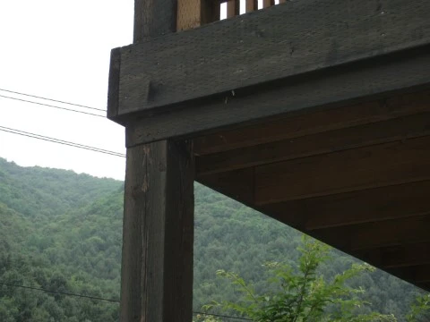 DSCF3110.JPG?type=w1