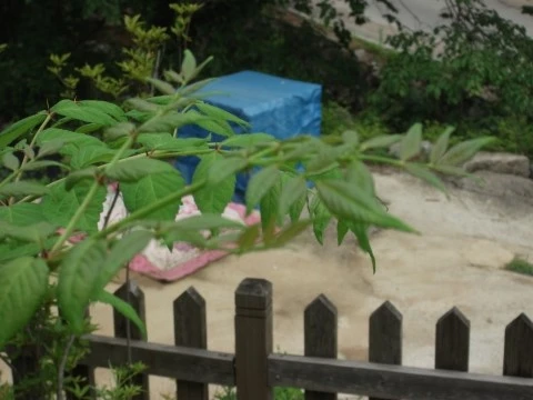 DSCF2670.JPG?type=w1