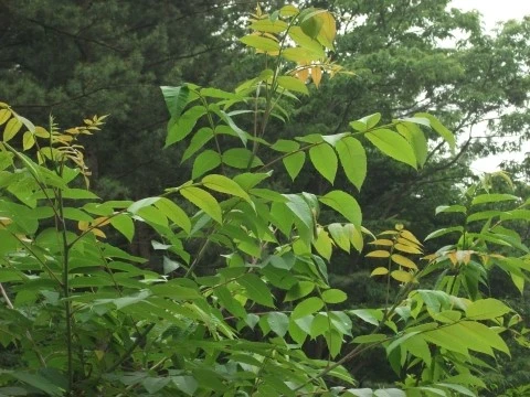 DSCF2672.JPG?type=w1