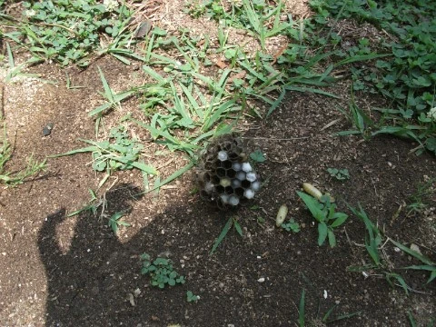 DSCF3120.JPG?type=w1