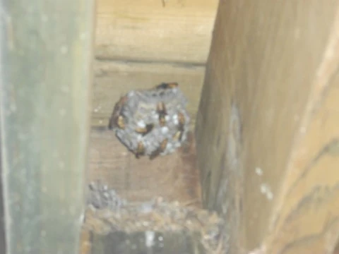 DSCF3103.JPG?type=w1