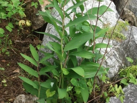 DSCF2662.JPG?type=w1