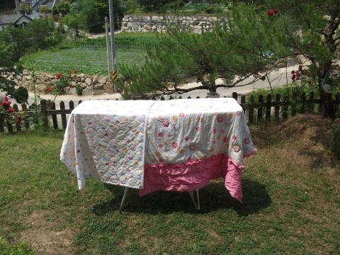 DSCF2684.JPG?type=w1