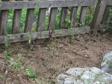 DSCF2664.JPG?type=w1