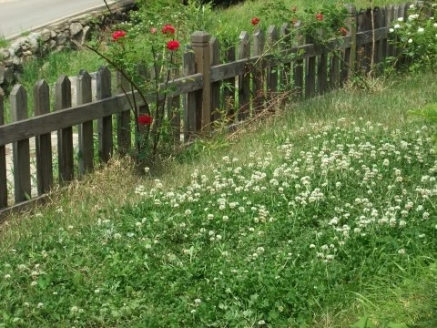 DSCF2555.JPG?type=w1