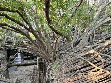 IMG_9504.JPG?type=w386