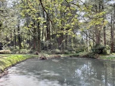 IMG_9081.JPG?type=w386