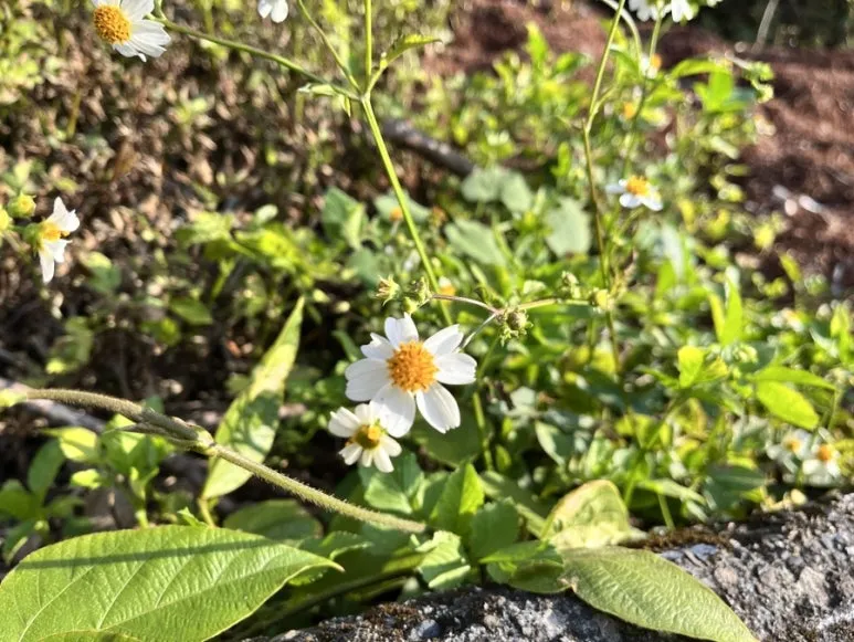 IMG_8580.JPG?type=w773