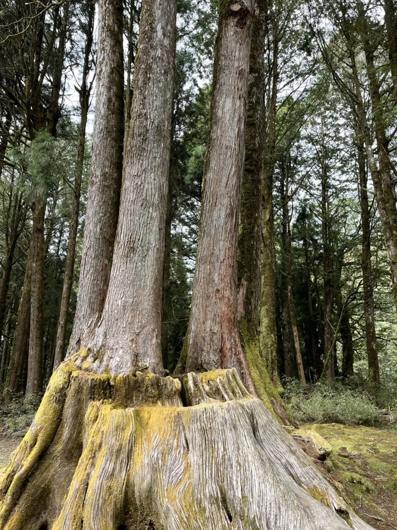 IMG_9099.JPG?type=w773