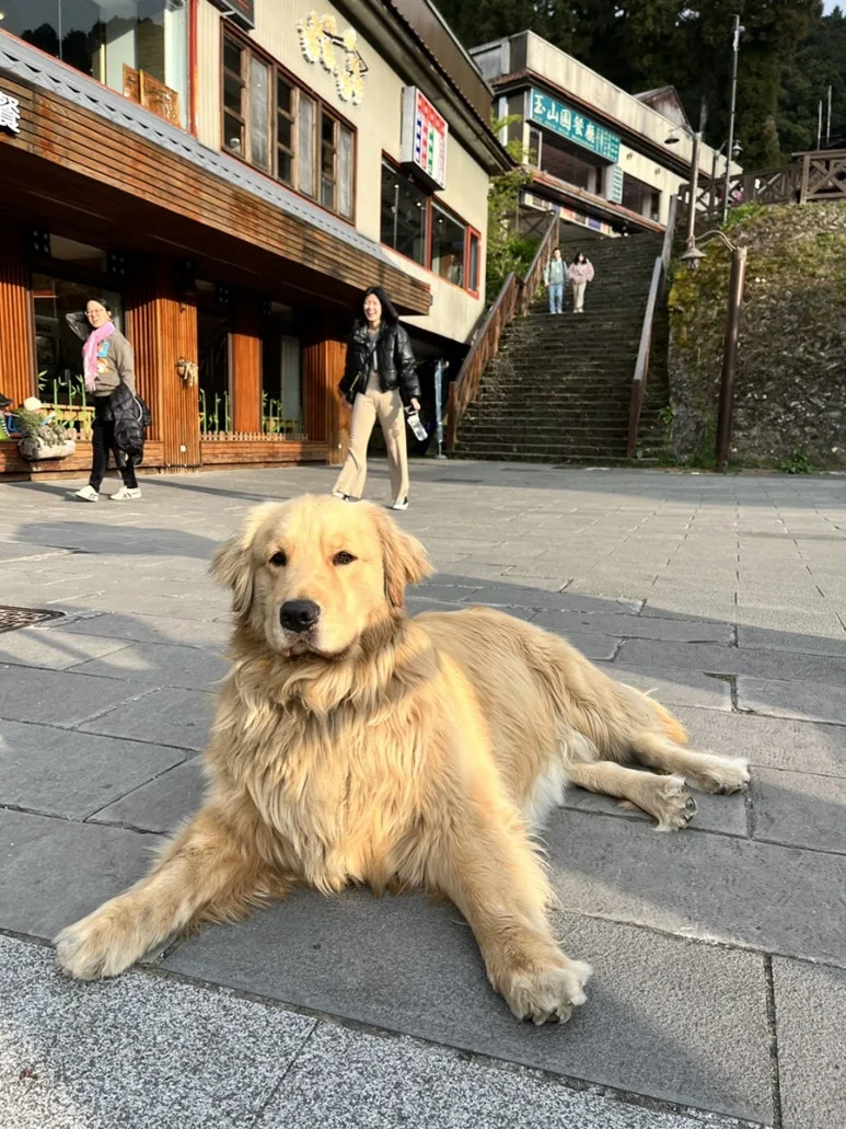 IMG_9289.JPG?type=w773