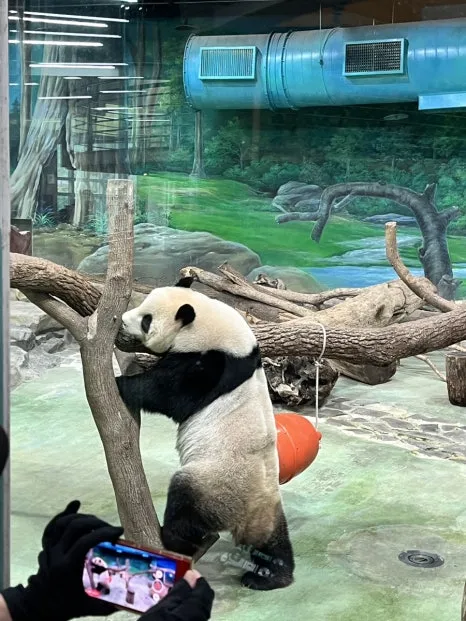 IMG_4498.JPG?type=w466