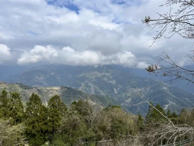 IMG_8506.JPG?type=w386