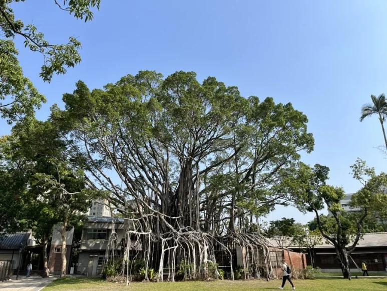 IMG_8687.JPG?type=w773