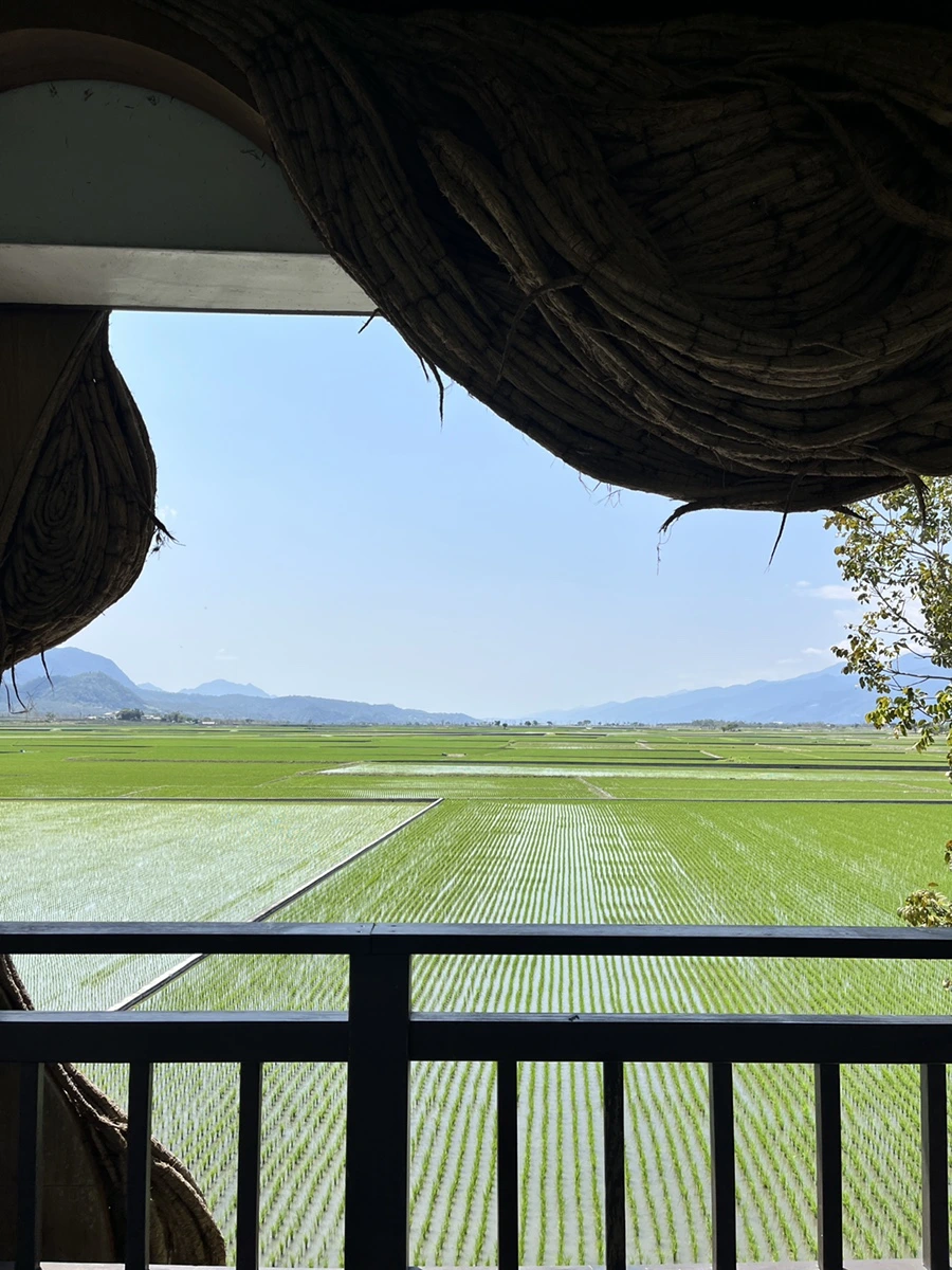 IMG_1386.JPG?type=w966