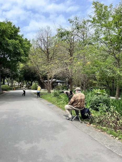 IMG_4161.JPG?type=w466