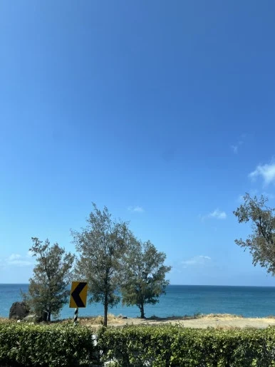 IMG_0743.JPG?type=w386