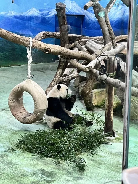 IMG_4504.JPG?type=w466