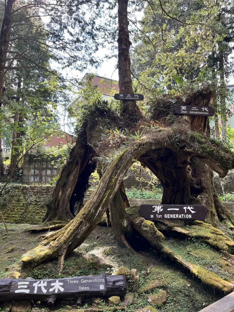 IMG_9153.JPG?type=w773