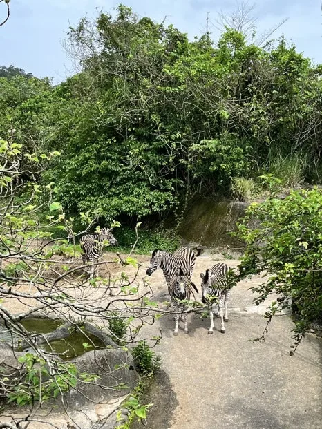 IMG_4484.JPG?type=w466