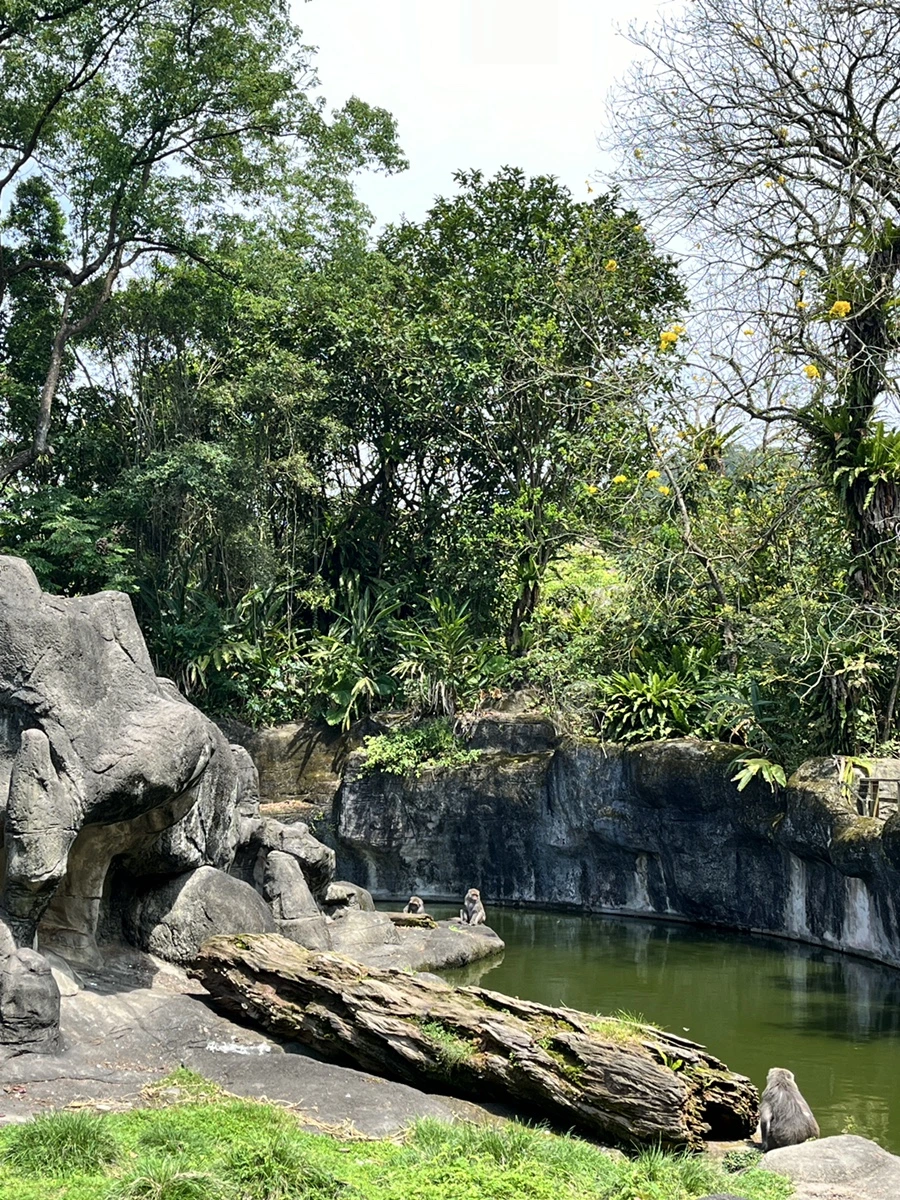 IMG_4440.JPG?type=w966