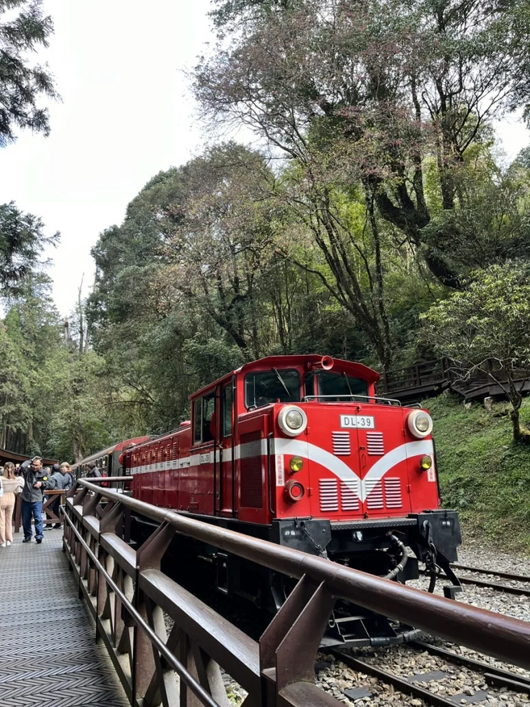 IMG_9227.JPG?type=w773