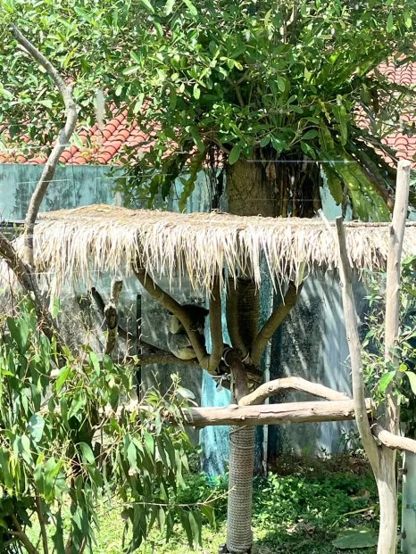 IMG_4446.JPG?type=w466