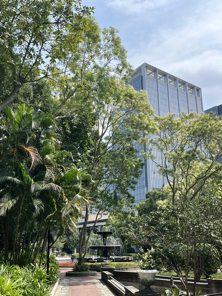 IMG_4622.JPG?type=w966