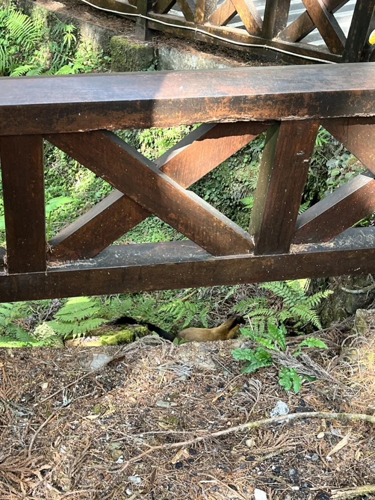 IMG_9148.JPG?type=w773