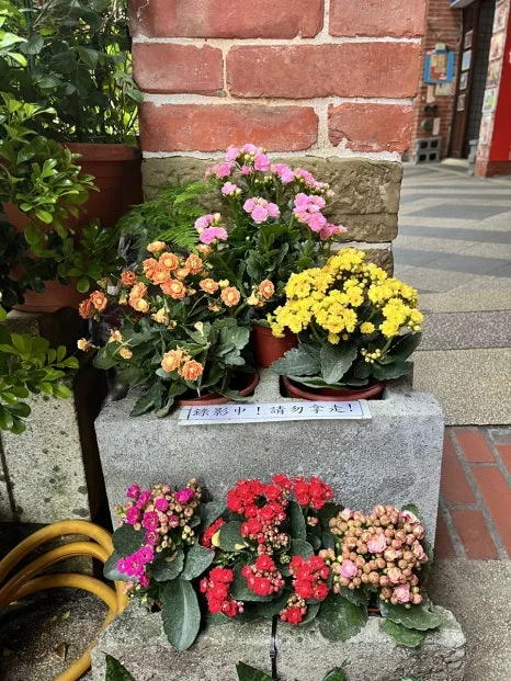 IMG_4388.JPG?type=w466