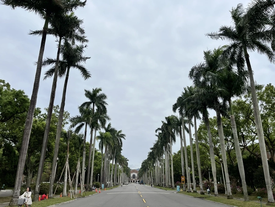 IMG_4195.JPG?type=w966