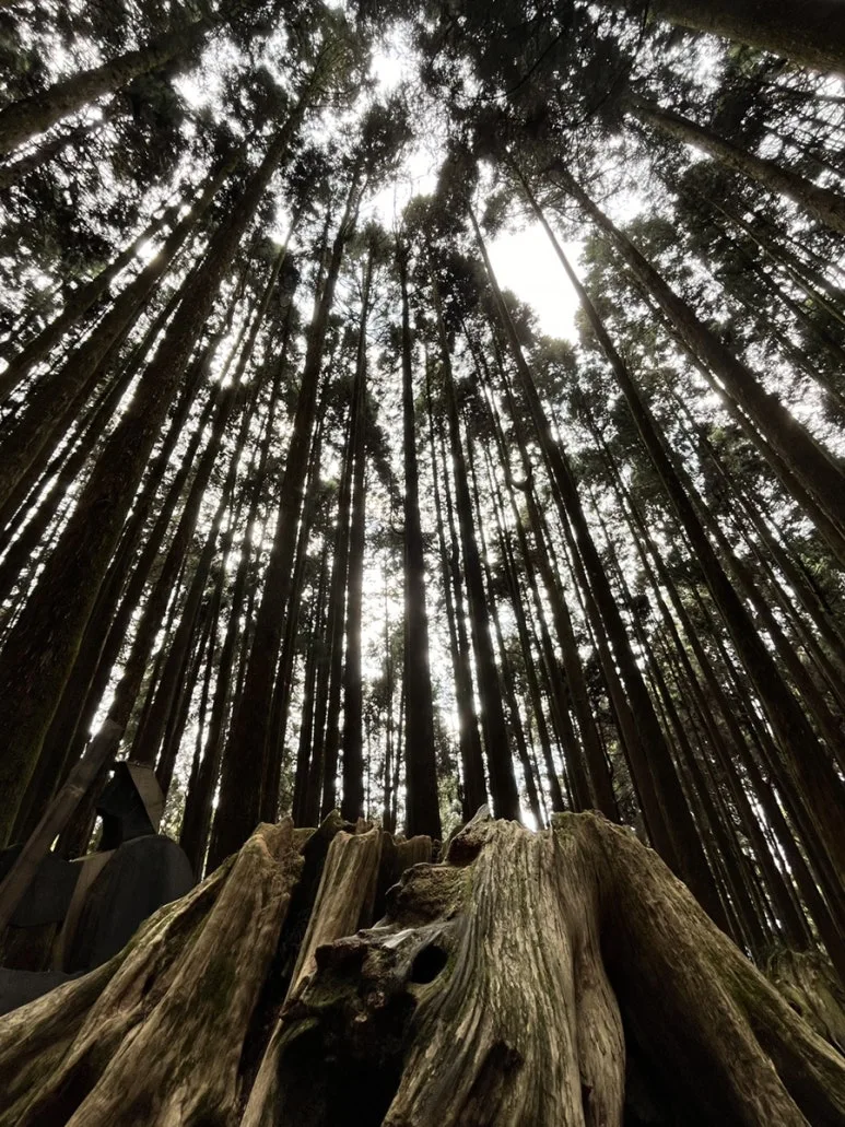 IMG_9117.JPG?type=w773