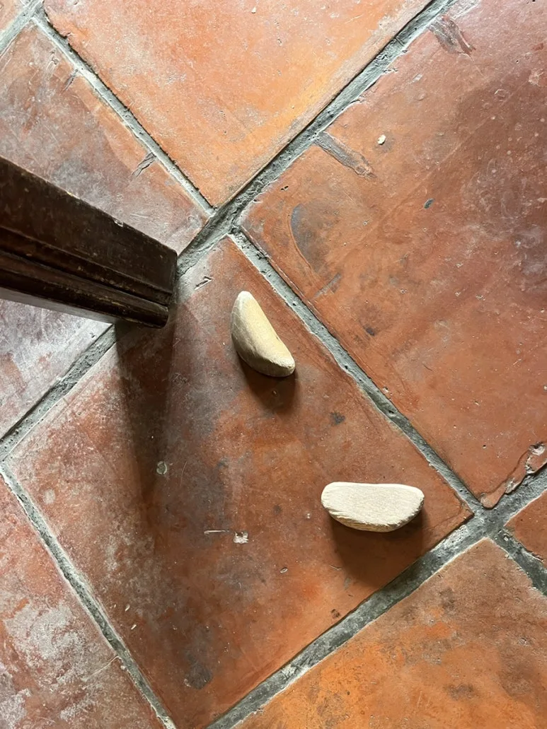 IMG_9978.JPG?type=w773