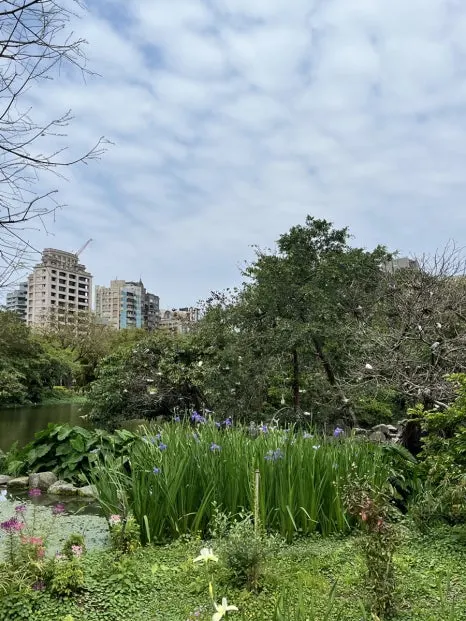 IMG_4133.JPG?type=w466