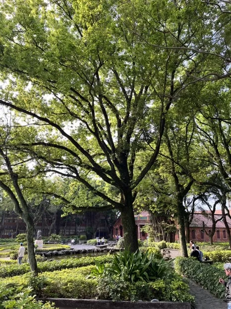 IMG_2878.JPG?type=w466