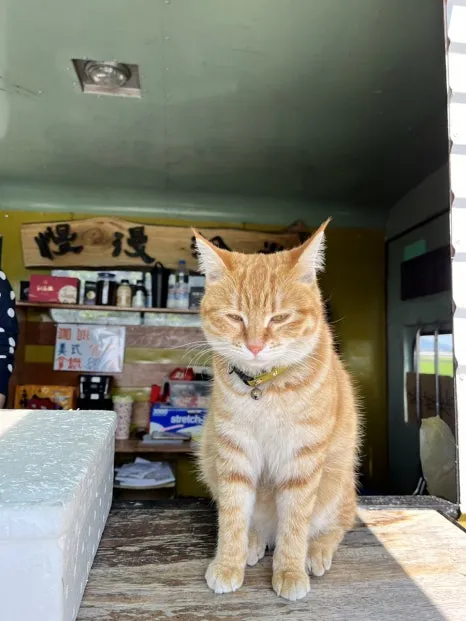 IMG_1358.JPG?type=w466